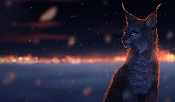 Ocenianie profilu @levender_light