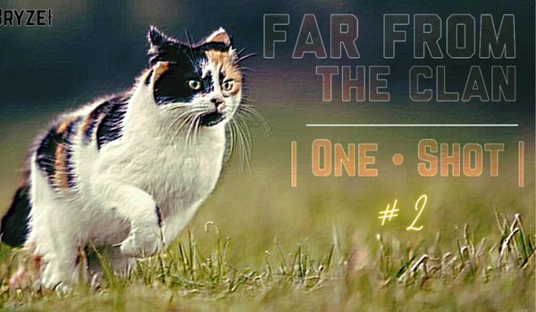 far from the clan | One • Shot | | 2/3|