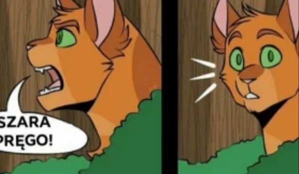 Pojebane rozmowy między wojakami part 2