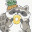Raccoon_04