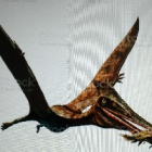 DawidSlitherin