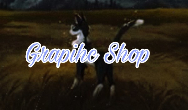Grapihc Shop