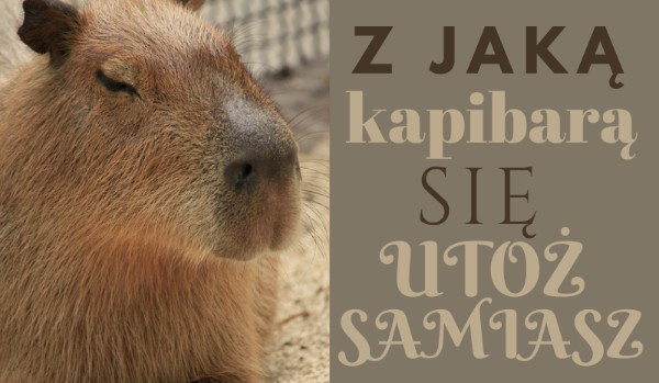 Z jaką kapibarą się utożsamiasz?