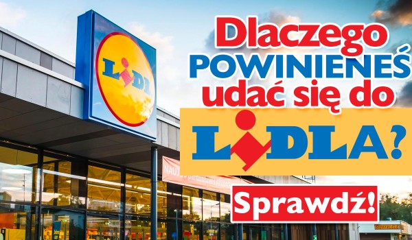 Dlaczego powinieneś udać się do Lidla?