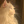 Cookie_2482317
