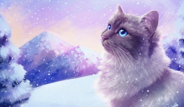 Misja Nocnego Strumienia 3