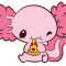 axolotl.pije.soczek