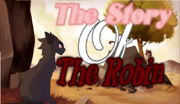 || The Story Of The Robin „ Chapter 1 „ ||