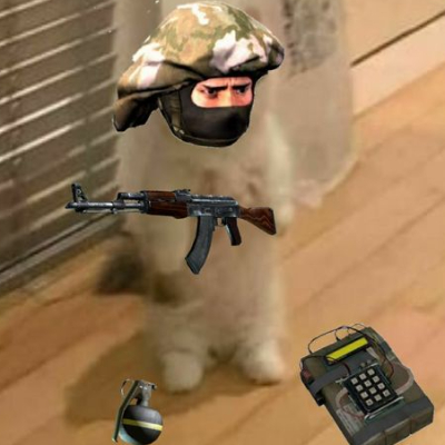 cs_go-quizz