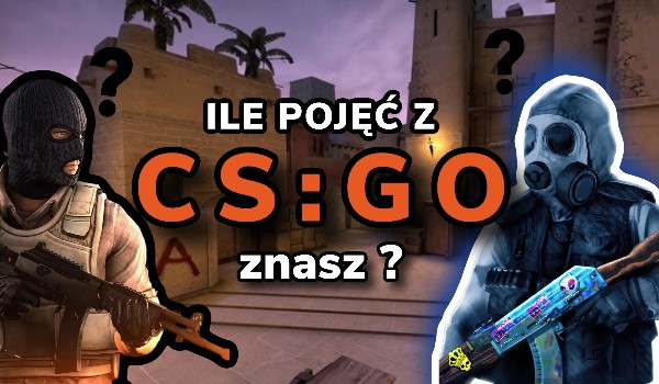 Test pojęć z CS:GO