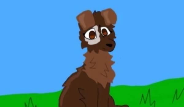 Pogoń. Kwitnąca Noc 2