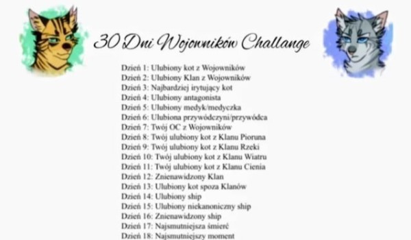 30 dni z wojownikami challenge!