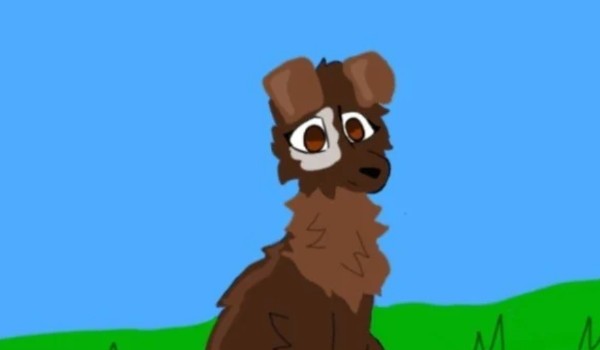 Pogoń. Kwitnąca Noc 2