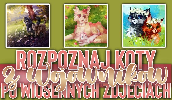 Rozpoznaj koty z ,,Wojowników” po wiosennych zdjęciach!