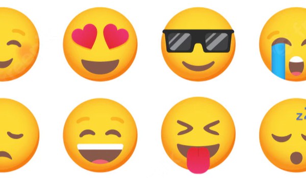 czy zmasz mojego psa