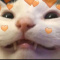 kingap05