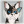 Milky_paw