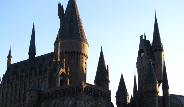 Twoja historia w Hogwarcie 8