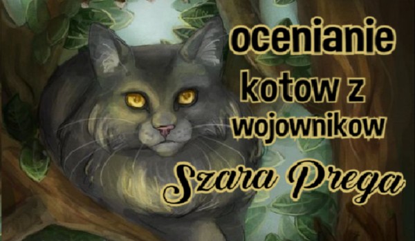 Ocenianie kotów z wojowników. Szara Pręga