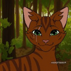 Brzozowa_Gwiazda77