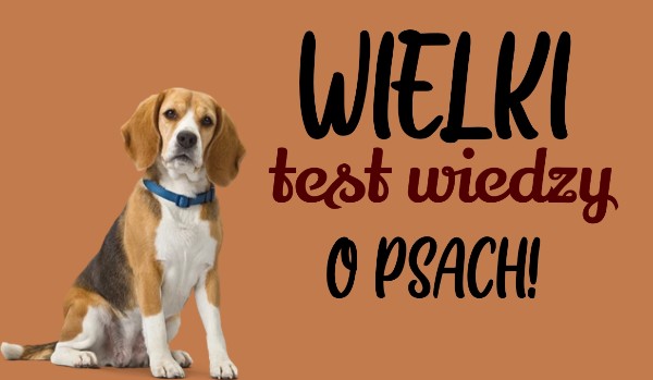 Wielki test wiedzy o psach!