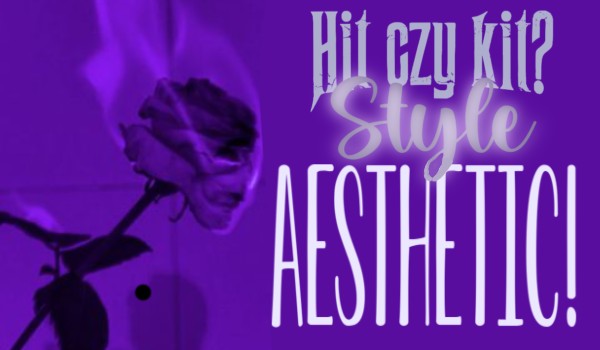 Hit czy kit – Style Aesthetic!
