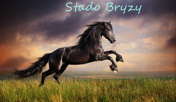 Stado Bryzy | prolog