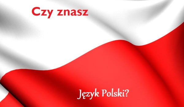 Czy znasz język Polski?