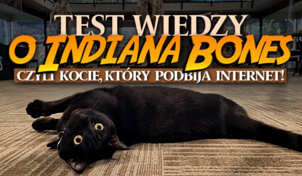 Test wiedzy o Indiana Bones, czyli kocie, który podbija internet!