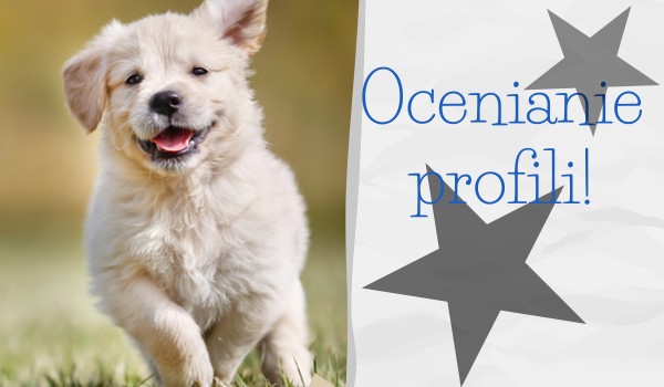 Ocenianie profili: @Mroczny_Ogon!