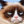 fan_mixeli69
