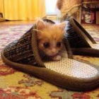 Danusia_Buziaczek839