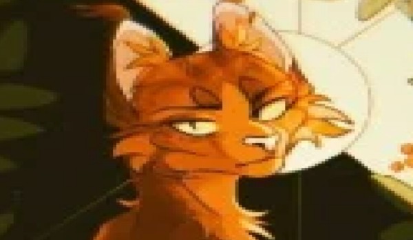 ocenianie profili 6 .Missisipi