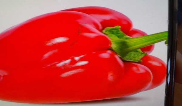 Jaką papryką jesteś