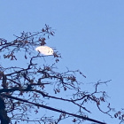 Emily____z_______Hufflepuff