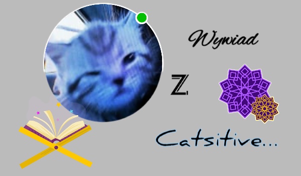 Wywiad z  @catsitive…