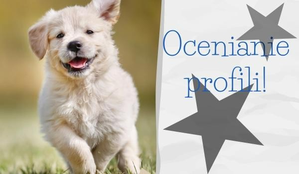 Ocenianie profili: @A.M.B.E.R.!