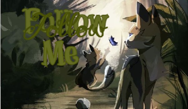 |+| Follow me ` #2|+|