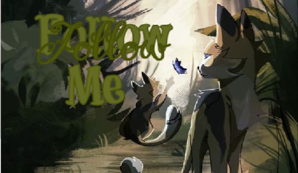 |+| Follow me ` #3|+|