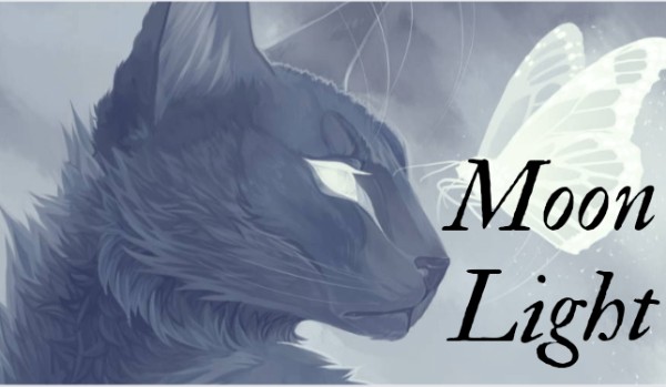Moon Light |•Chapter four•|