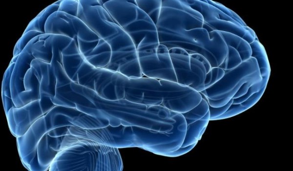 Test na ile masz chromosomów