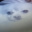 KutuxD