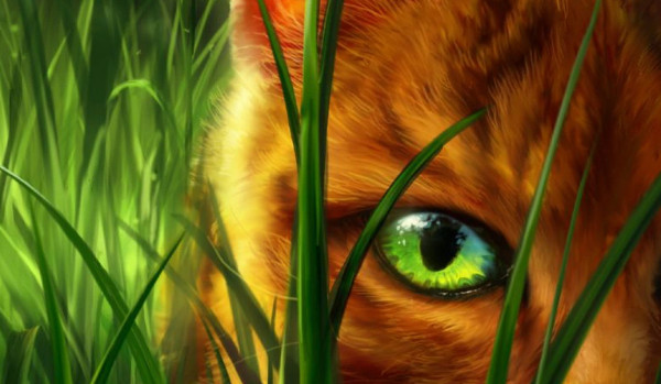 Bitwa książek z „Wojowników” – zapisy