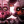 F.Foxy
