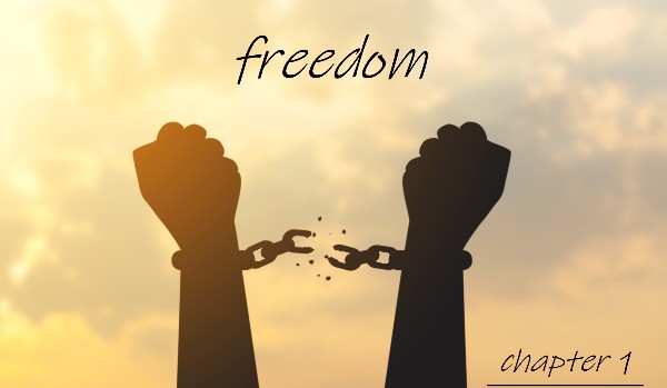 Freedom chapter 1