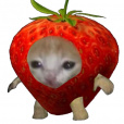 tru7kawka