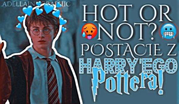 Hot or Not? — Postacie z Harry’ego Pottera!