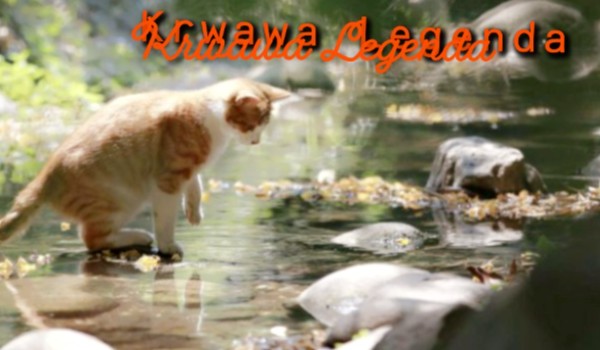 Krawawa Legenda ~ [Part 4]