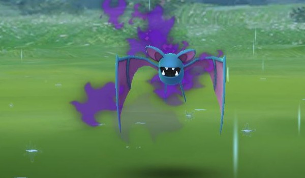 Poketrener pokemon