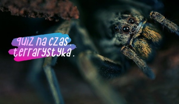 Quiz na czas . Terrarystyka .